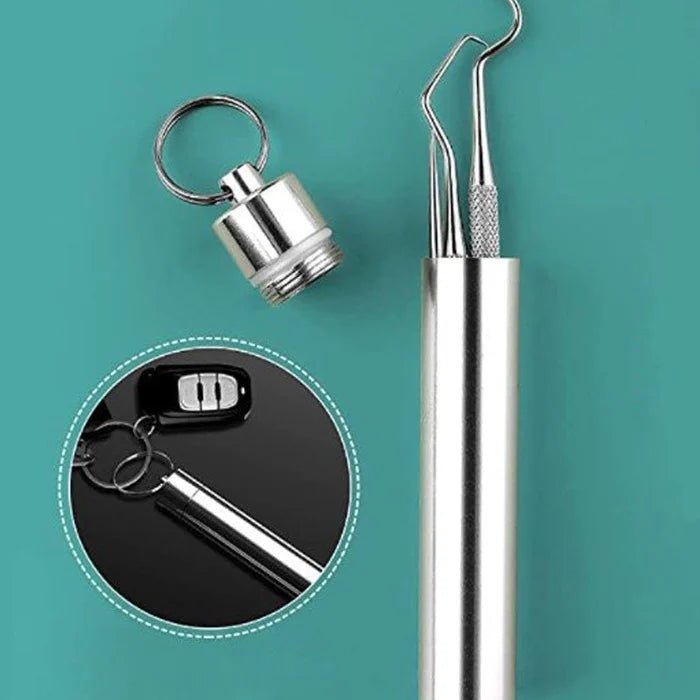 Toothpick Set Made Of Stainless Steel